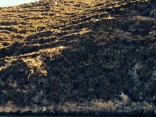 Video shooting by drone over Titicaca - VDW AirDrone